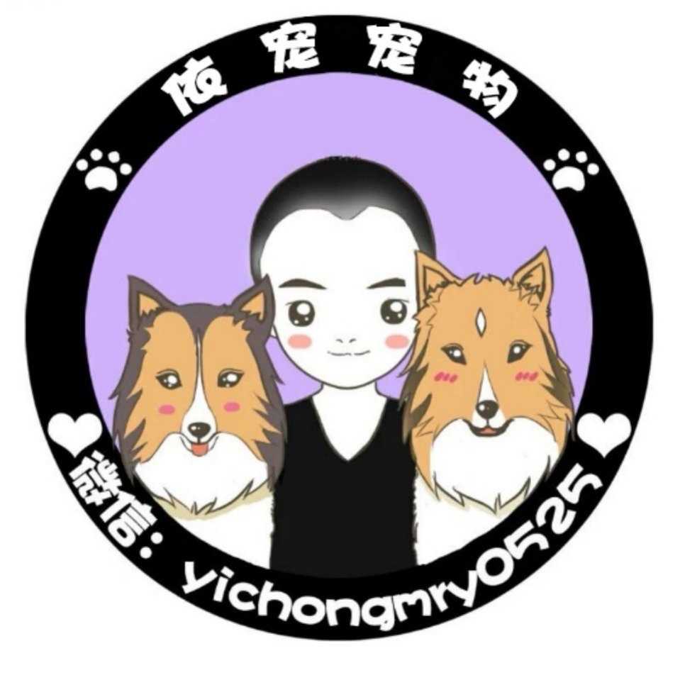 依宠宠物