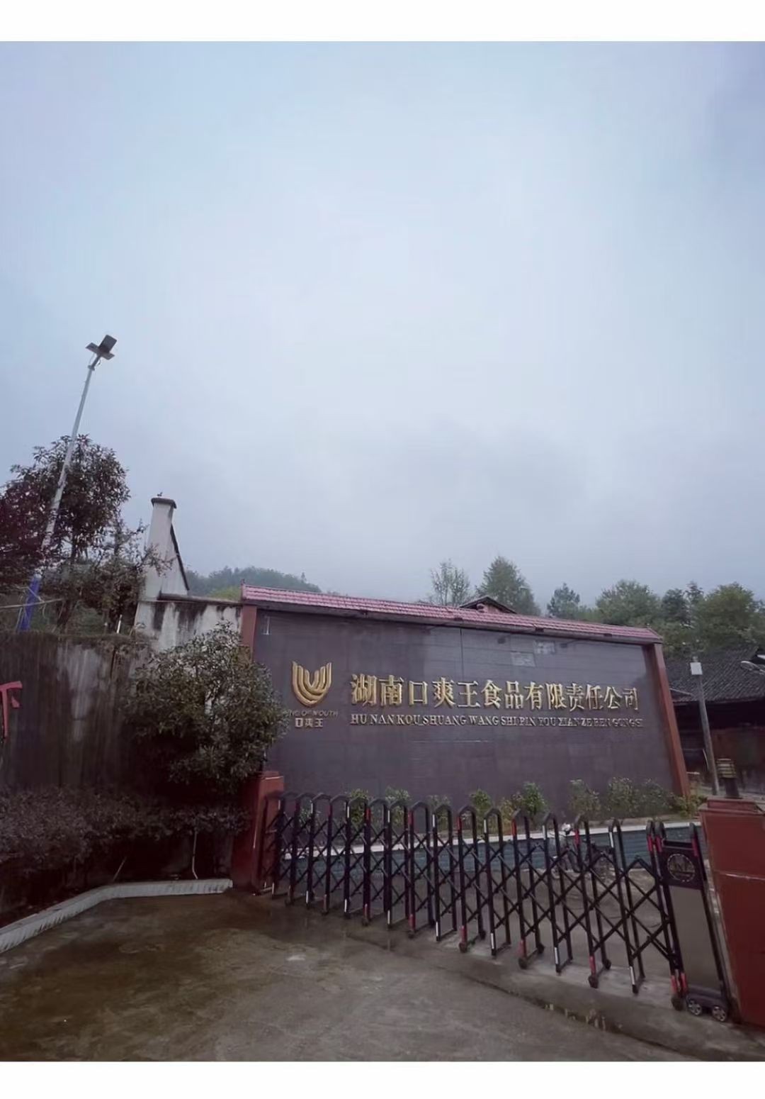 口爽王2.jpg